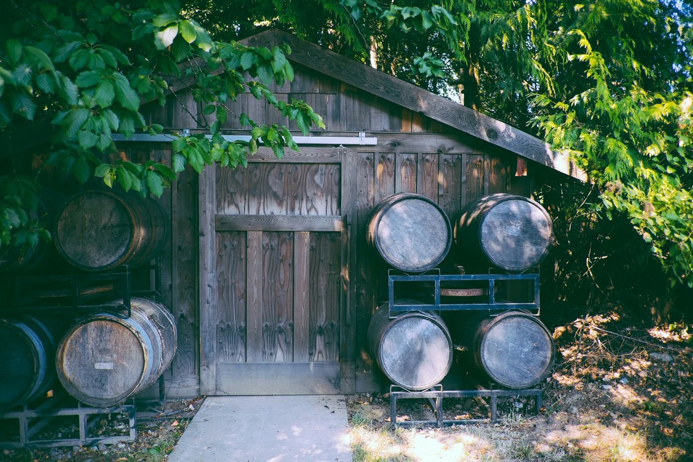 Oak barrels stacked outside a weathered timber cellar